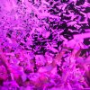  foto Life in Color - 14/12 - Ahoy