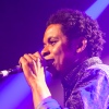 Foto HEDON ALL STARS op Opening nieuw Hedon - 06-02