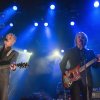 Foto Spinvis te Spinvis - 20/3 - Tivoli Oudegracht