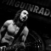 Cabaretinfo review: Dauwpop 2014
