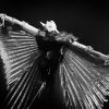 foto Amsterdam Burlesque Weekend 2014