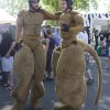 Foto  op Ribs & Blues 2014