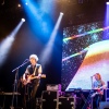 Foto MGMT te Down The Rabbit Hole 2014 dag 3