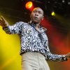 Foto Seun Kuti & Egypt 80 te Pitch 2014