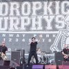Foto Dropkick Murphys te Rock Werchter 2014 - dag 1