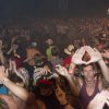 Foto  op Rock Werchter 2014 - dag 2