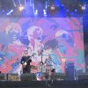 Babyshambles foto Rock Werchter 2014 - dag 4