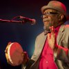 Foto Heritage Blues Orchestra te Bospop 2014 - dag 1