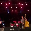 Foto The Paladins te Bospop 2014 - dag 2