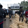 foto Ieperfest 2014