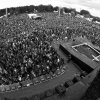 Foto op Strandfestival Zand 2014