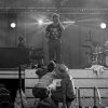 Foto Racoon te Strandfestival Zand 2014