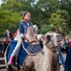 foto Efteling Negen Pleinen Festijn 2014: 3J's