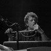Foto Brown Feather Sparrow te At The Close Of Everyday - 25/3 - Hedon