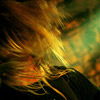 Foto Pure Serenity op Across Five Aprils - 18/4 - Winston