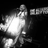Festivalinfo review: Asteroids Galaxy Tour - 04/05 - Tivoli de Helling