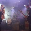 Foto Pauw te Dauwpop 2015