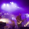 Foto Pauw te Dauwpop 2015