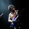 Foto Toto te Toto - 30/05 - Ziggo Dome