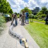 foto Festival de Beschaving 2015