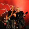 Foto FM te Bospop 2015 - Zondag