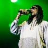 Foto  op Dour Festival 2015 - Zondag