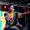 Foto  op Solar Weekend 2015 - zaterdag