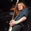 Foto Wolfskop te Waterpop 2015