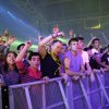 Foto  op Amsterdam Music Festival 2015 - Vrijdag