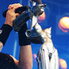 Foto Korn op Pinkpop 2007