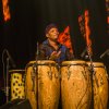 Foto Orchestre Poly-Rythmo de Cotonou te Le Guess Who? 2015 - Zaterdag