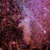 Foto op Vrienden van Amstel LIVE! - 22/01 - Ahoy