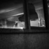 Foto Amber Arcades te Grasnapolsky 2016 - Zondag