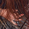 Foto Legion of the Damned te Graspop Metal Meeting 2007