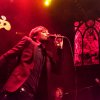 Foto Puggy te Puggy - 15/03 - Bitterzoet