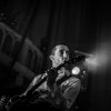 The Last Shadow Puppets