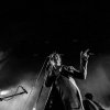 The Last Shadow Puppets