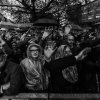 foto Koningspop 2016