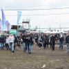 Foto  op Groezrock 2016 - Zaterdag