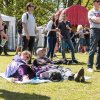 Foto  op Bevrijdingsfestival Overijssel 2016
