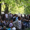 foto Bevrijdingspop Haarlem 2016