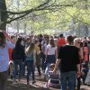 foto Bevrijdingspop Haarlem 2016