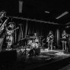 Foto Naked Wolf te Incubate Festival #1 2016
