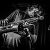 Foto Naked Wolf te Incubate Festival #1 2016