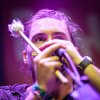 Foto Pierce Brothers te Dauwpop 2016