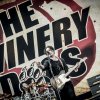 The Winery Dogs foto Graspop Metal Meeting 2016, dag 1