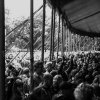 Foto  op Best Kept Secret 2016 - Zaterdag