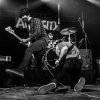 Foto Audacity te Best Kept Secret 2016 - Zaterdag