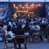 Foto The Common Linnets te Share A Perfect Day 2016