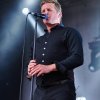 Foto Racoon te Share A Perfect Day 2016